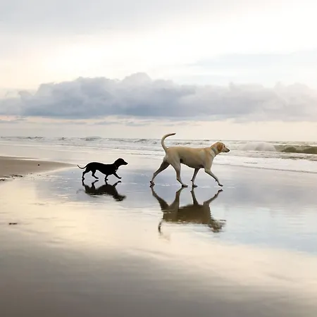 펜션 And Tide - Lakeside - Part Of The The Bay Village With Pool, Gym And Direct Access, Pub, Restaurant, Tennis And Meadows Walks *